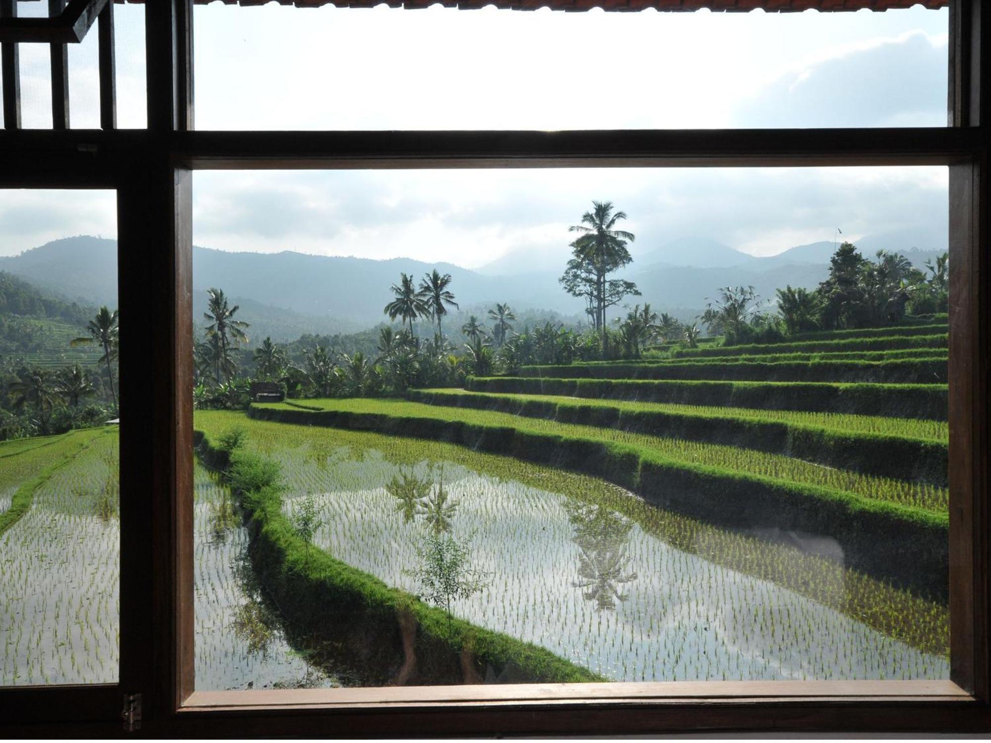 Lesong Hotel And Restaurant Munduk Rom bilde